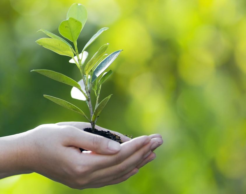Read more about the article ثلاثيات بناء الجيل