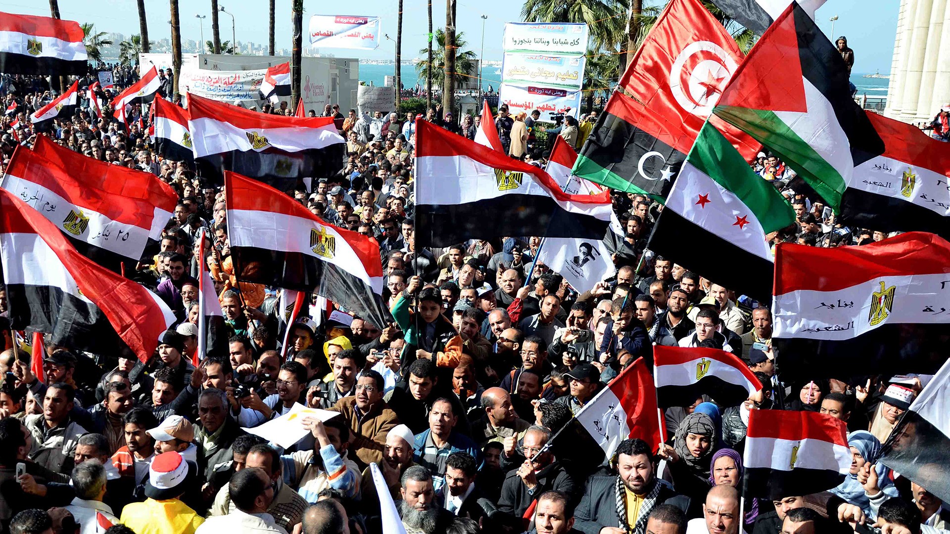 Read more about the article نبض الجماهير العربية