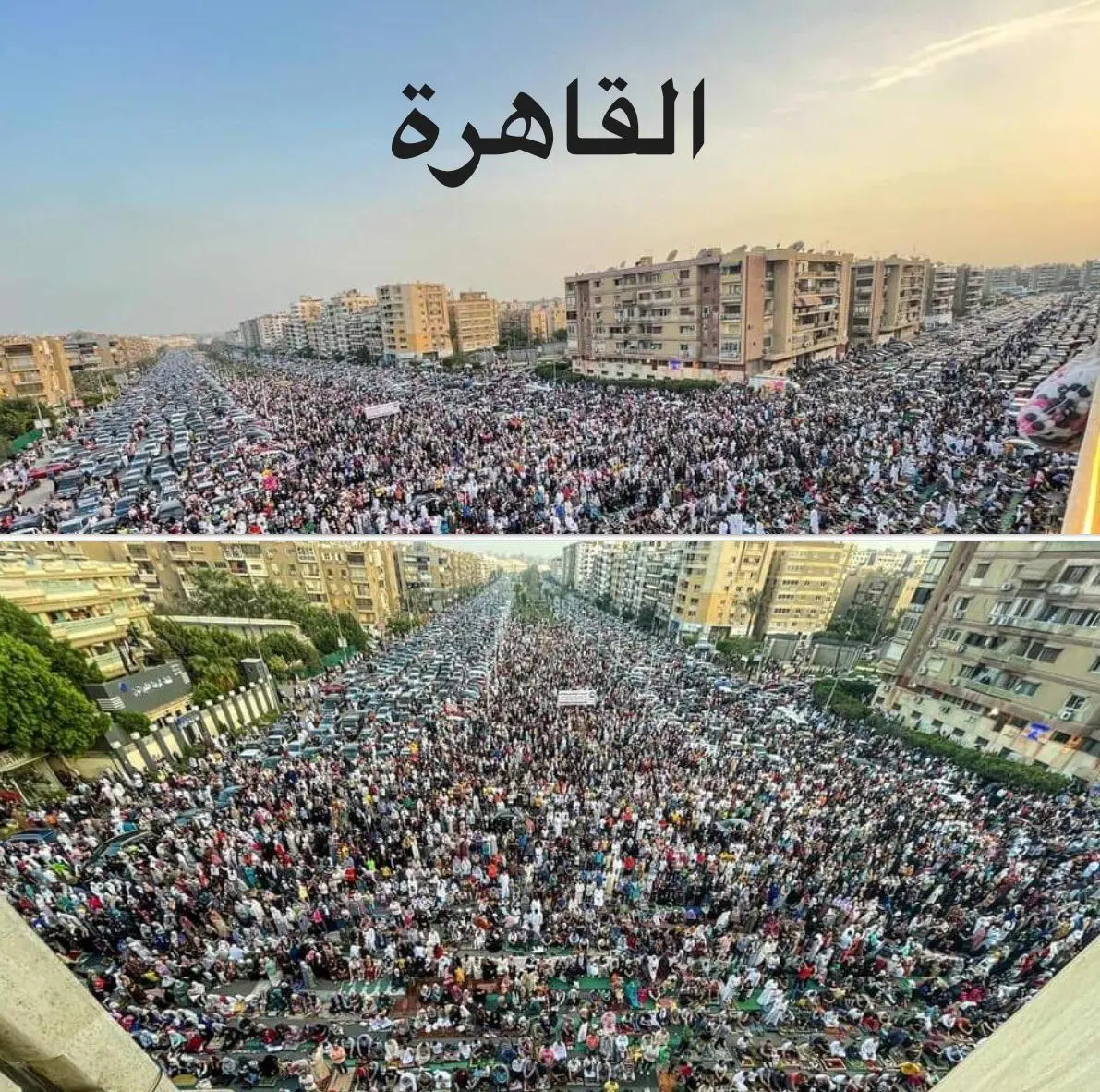 You are currently viewing ما الذي نراهن عليه قبل كل شيء؟
